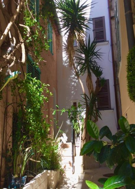 Petite Maison Mitoyenne Au Coeur De Saint Tropez Εξωτερικό φωτογραφία